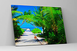 Obraz Letná dovolenka pri mori 1949